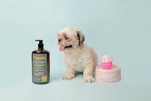Load image into Gallery viewer, Mr. Giggles Shampoo & Conditioner Mandarin Orange 1000 ml for Dogs and Cats