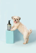 Load image into Gallery viewer, Mr. Giggles Shampoo & Conditioner Ocean Breeze 1000 ml for Dogs and Cats