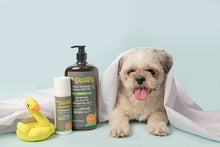 Load image into Gallery viewer, Mr. Giggles Shampoo & Conditioner Mandarin Orange 1000 ml for Dogs and Cats