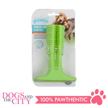 Load image into Gallery viewer, PAWISE 14472 Toothbrush Chewy Dog Toy Medium 14x10cm