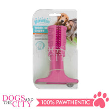 Load image into Gallery viewer, PAWISE 14472 Toothbrush Chewy Dog Toy Medium 14x10cm