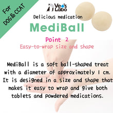 Load image into Gallery viewer, VET'S LABO 16772 Japanese Medi Ball for Dog Cheese Flavor Treat 15pcs 20g