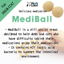 Load image into Gallery viewer, VET'S LABO 16939 Japanese Medi Ball for Dog Liver Flavor Treats 15pcs 20g