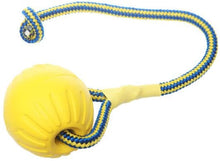 Load image into Gallery viewer, SLP FT002 Swing 'n Fling DuraFoam Ball Rope Dog Toy 6cm - Dogs And The City Online