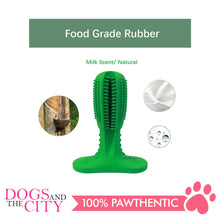 Load image into Gallery viewer, DGZ Molar Natural Rubber Toothbrush Chew Toy Small for Dog 10x7cm - Dogs And The City Online