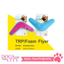 Load image into Gallery viewer, PAWISE 14648 Doggy Squeaker Form Flyer/TPR 24cm