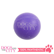 Load image into Gallery viewer, PAWISE  14718 Solid Dental Pet Ball Toy 2.5" for Dogs
