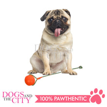 Load image into Gallery viewer, SLP FT002 Swing 'n Fling DuraFoam Ball Rope Dog Toy 6cm - Dogs And The City Online
